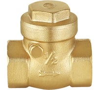 Обратный клапан DOUBLE-LIN лепестковый поворотный T с внутренней резьбой - 4 LL5007(4) LL5007(4")