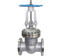 Клиновая задвижка DN.ru 30нж76нж Ду250 Ру64 фланцевая D040-01405