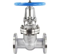 Клиновая задвижка DN.ru 30нж15нж Ду100 Ру40 фланцевая D040-01375