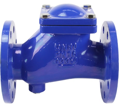 Клапан обратный шаровой DN.ru GGG50-GGG50-БНК-сп Ду80 Ру16 со сливной пробкой, чугунный D100-01578