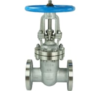 Клиновая задвижка DN.ru 30нж76нж Ду80 Ру64 фланцевая D040-01408