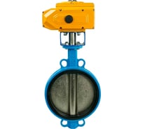 Затвор DN.ru дисковый GGG50-GGG40-EPDM Ду250 Ру16 с электроприводом QT-040 220В D050-01834