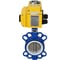 Затвор DN.ru WCB-316L-PTFE Ду125 Ру16 с электроприводом QT-020 24В D050-02283 2