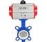 Затвор DN.ru WCB-316L-PTFE Ду125 Ру16 с пневмоприводом D050-02284 4