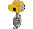 Затвор DN.ru 316L-316L-PTFE Ду200 Ру16 с электроприводом QT-060 380В D050-01653 3