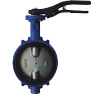 Затвор дисковый поворотный Giacomini DN100 R59WY010 107-5429