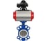 Затвор DN.ru WCB-316L-PTFE Ду65 Ру16 с пневмоприводом, пневмораспределителем, БКВ D050-00360 5