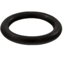 Кольцо ООО ПКФ Сварком д=20 упл. для фитингов EPDM (100шт) СанТех s032692