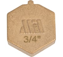 Заглушка латунная под пломбу Millennium 3/4" с внутренней резьбой LZFP3434