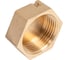 Заглушка латунная под пломбу Millennium 3/4" с внутренней резьбой LZFP3434 3