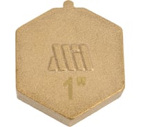 Заглушка латунная под пломбу Millennium 1" с внутренней резьбой LZFP1010