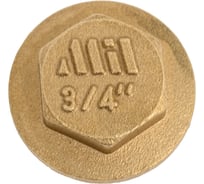 Заглушка латунная Millennium с бортом 3/4" с наружной резьбой LZM3434