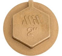 Заглушка латунная под пломбу Millennium 2" с наружной резьбой LZMP5050