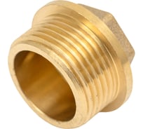 Заглушка латунная под пломбу Millennium 3/4" с наружной резьбой LZMP3434