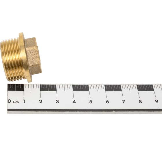Заглушка латунная под пломбу Millennium 3/4" с наружной резьбой LZMP3434