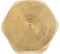Заглушка латунная Millennium 1/2" с внутренней резьбой (пр. Россия) LZF1212R