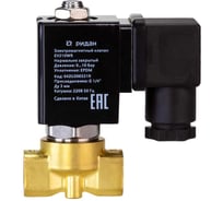 Клапан электромагнитный Ридан EV210WR, G 1/4, Ду 3 мм, EPDM, (вода, пар до 130 гр.С), НО, 0-5 бар,220В, 50 Гц 042U100331R