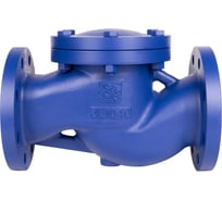 Клапан обратный подъемный RUSHWORK РАШВОРК, DN050, PN16, корпус - GJL-250 (GG25), клапан - AISI420, уплотнение - AISI420, Ф/Ф - есть 287А 487-050-16