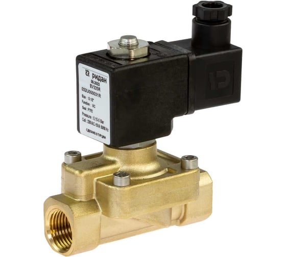 Клапан электромагнитный Ридан EV225WR, G 2, PTFE, нормально закрытый, 0…10 бар, с катушкой 220В, 50 Гц 042U325031R