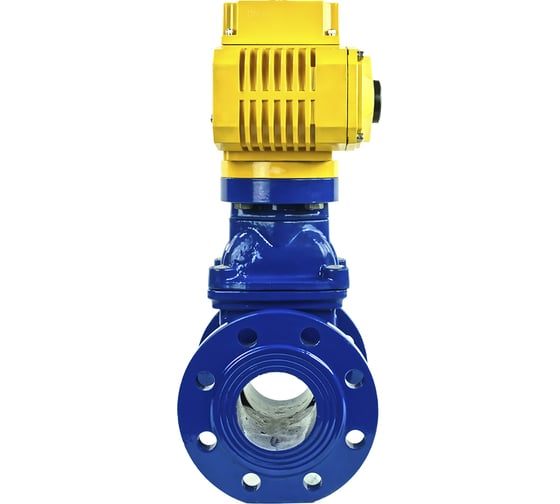 Клиновая задвижка DN.ru 30ч939р GGG50-EPDM-F4-BLUE Ду80 Ру16, электропривод MT-100 380В D040-00774
