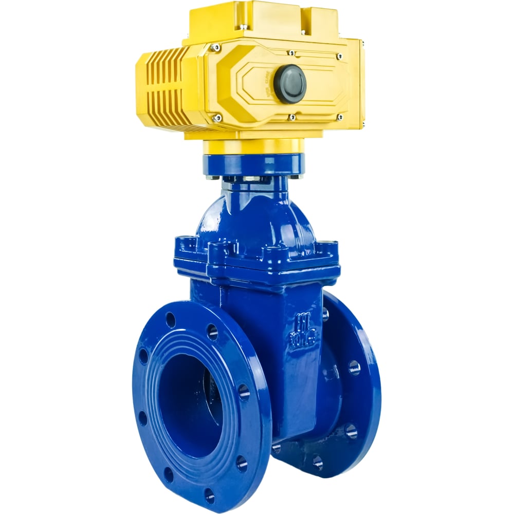 Задвижка DN.ru 30ч939р GGG50-EPDM-F4-BLUE Ду100 Ру16 электропривод MT ...