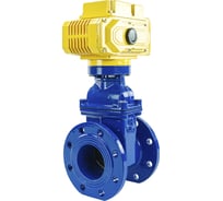 Задвижка клиновая DN.ru 30ч939р Ду100 Ру16 с электроприводом MT-100 380В, цвет - синий D040-00778