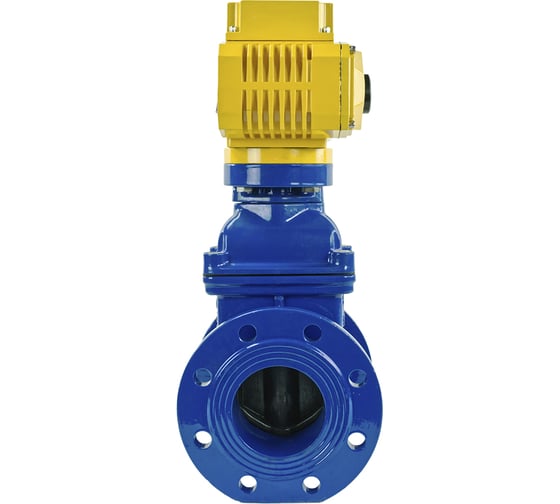 Клиновая задвижка DN.ru 30ч939р GGG50-EPDM-F4-BLUE Ду100 Ру16, электропривод MT-100 380В D040-00778