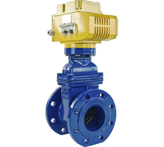 Клиновая задвижка DN.ru 30ч939р GGG50-EPDM-F4-BLUE Ду100 Ру16, электропривод MT-100 380В D040-00778