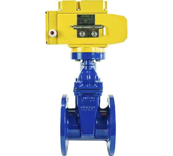 Клиновая задвижка DN.ru 30ч939р GGG50-EPDM-F4-BLUE Ду100 Ру16, электропривод MT-100 380В D040-00778