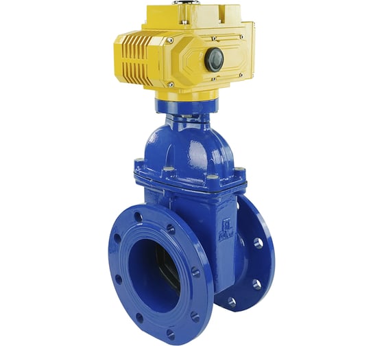 Задвижка клиновая DN.ru 30ч939р GGG50-EPDM-F4-BLUE Ду150 Ру16 электропривод MT-200 380В D040-05455