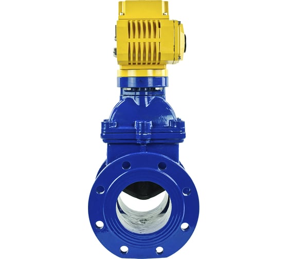 Клиновая задвижка DN.ru 30ч939р GGG50-EPDM-F4-BLUE Ду125 Ру16 электропривод MT-200 380В D040-05454