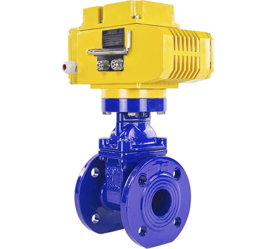 Клиновая задвижка DN.ru 30ч939р GGG50-EPDM-F4 BLUE Ду50 Ру16, электропривод MT-100 380В D040-00764