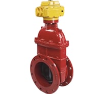 Задвижка DN.ru 30ч939р -300-16-GGG50-EPDM-F4-RED Ду300 Ру16 электропривод MT 380В D040-00755