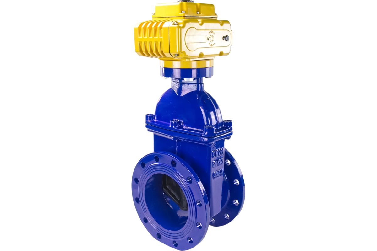 Клиновая задвижка DN.ru 30ч939р -200-16-GGG50-EPDM-F4-BLUE Ду200 Ру16 ...