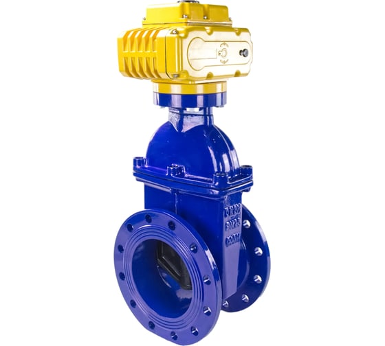 Клиновая задвижка DN.ru 30ч939р -200-16-GGG50-EPDM-F4-BLUE Ду200 Ру16 электропривод MT 380В D040-00799