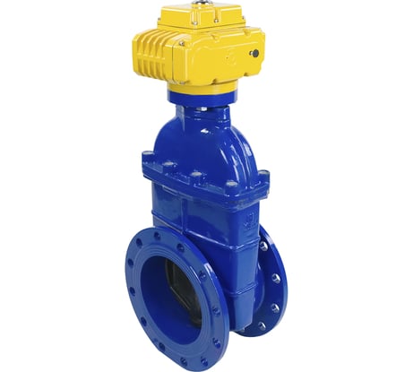 Задвижка DN.ru 30ч939р GGG50-EPDM-F4-BLUE Ду250 Ру10 электропривод MT-220 220В D040-00802