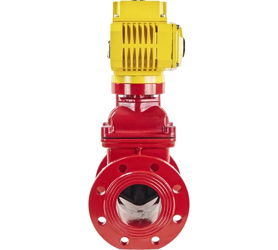 Клиновая задвижка DN.ru 30ч939р GGG50-EPDM-F4-RED Ду125 Ру16, электропривод MT-200 380В D040-00734