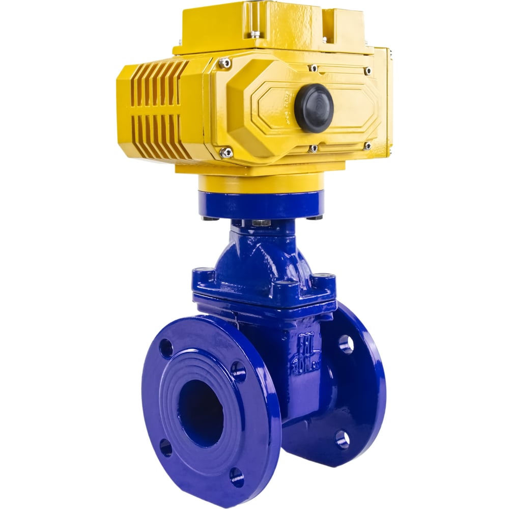 Задвижка DN.ru 30ч939р -200-10-GGG50-EPDM-F4-BLUE Ду200 Ру10 ...