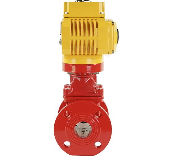 Клиновая задвижка DN.ru 30ч939р GGG50-EPDM-F4 RED Ду50 Ру16, электропривод MT-100 380В D040-00716