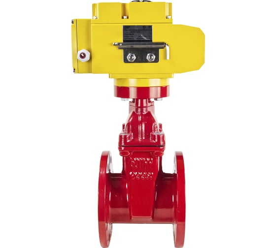 Клиновая задвижка DN.ru 30ч939р GGG50-EPDM-F4-RED Ду100 Ру16, электропривод MT-100 380В D040-00730