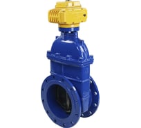 Задвижка DN.ru 30ч939р -300-10-GGG50-EPDM-F4-BLUE Ду300 Ру10 электропривод MT 220В D040-00808