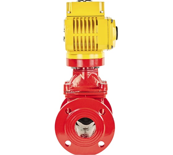 Клиновая задвижка DN.ru 30ч939р GGG50-EPDM-F4-RED Ду65 Ру16, электропривод MT-50 220В D040-00721