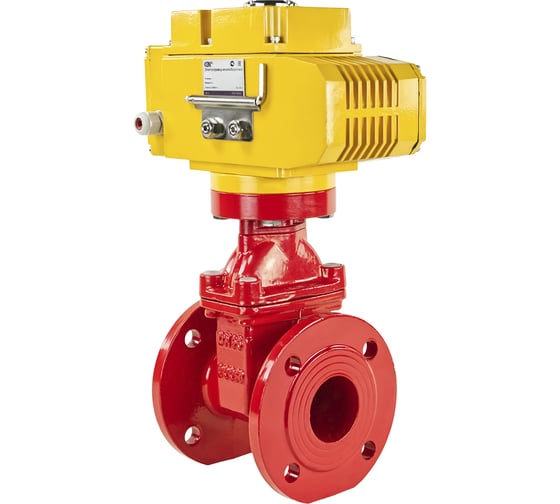 Клиновая задвижка DN.ru 30ч939р GGG50-EPDM-F4-RED Ду65 Ру16, электропривод MT-50 220В D040-00721