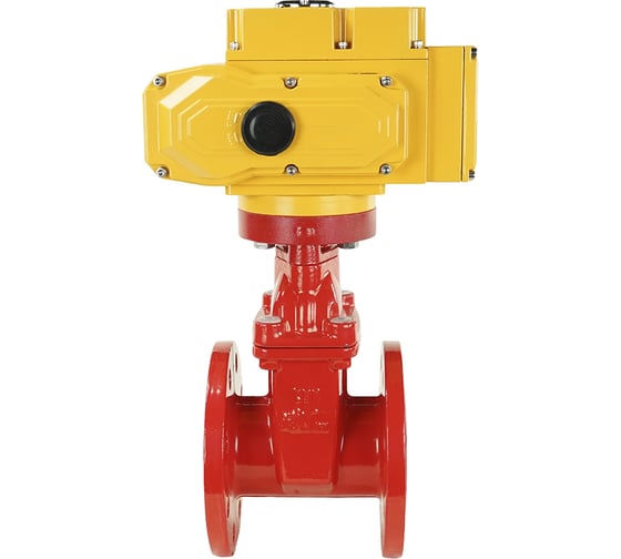 Клиновая задвижка DN.ru 30ч939р GGG50-EPDM-F4-RED Ду80 Ру16, электропривод MT-100 220В D040-00725