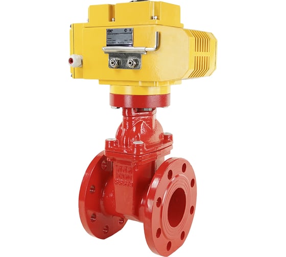 Клиновая задвижка DN.ru 30ч939р GGG50-EPDM-F4-RED Ду80 Ру16, электропривод MT-100 220В D040-00725