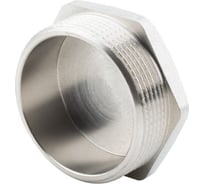 Заглушка ALATO ВР, латунь никелированная 2 (1/45) 0121-5050