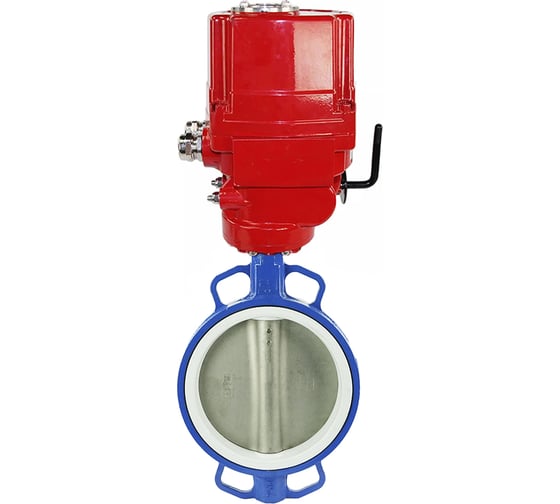 Затвор DN.ru WCB-316L-PTFE Ду150 Ру16 с электроприводом EX-030 220В D050-02470