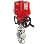 Затвор DN.ru 316L-316L-PTFE Ду80 Ру16 с электроприводом EX-010 220В D050-02451