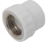 Муфта PP-R бел комб 32х1 ВР Gigant GPM-32X1ВР 1
