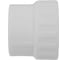 Муфта PP-R бел комб 32х1 ВР Gigant GPM-32X1ВР 3